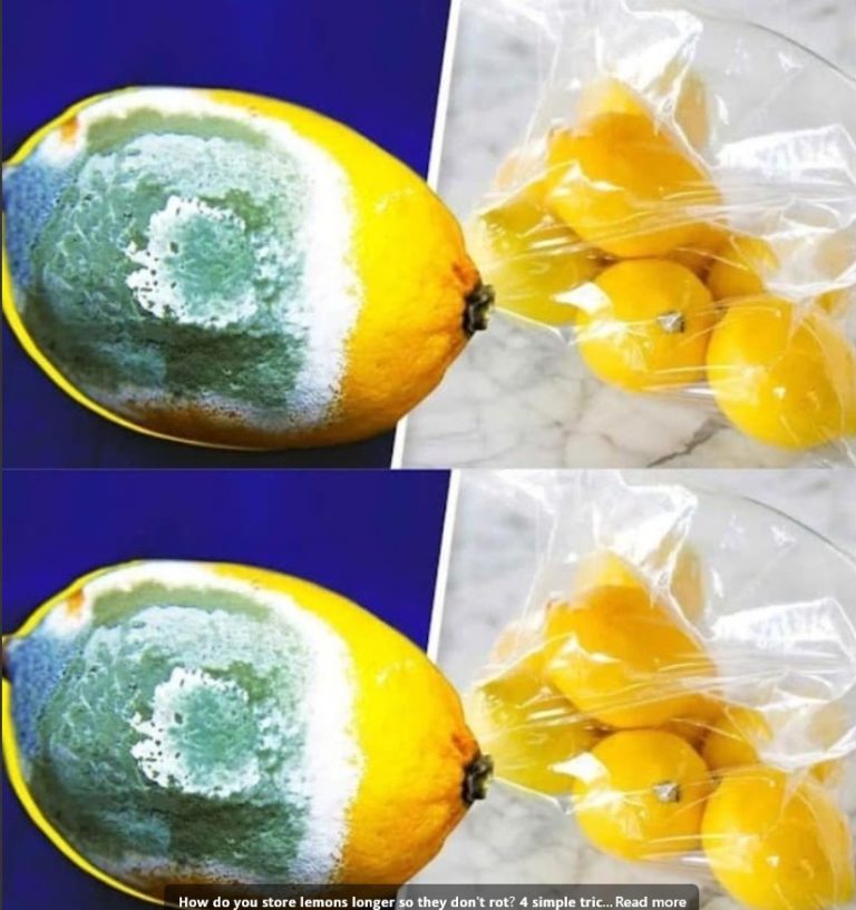 488339463 122123927030707054 2550157840296619274 N