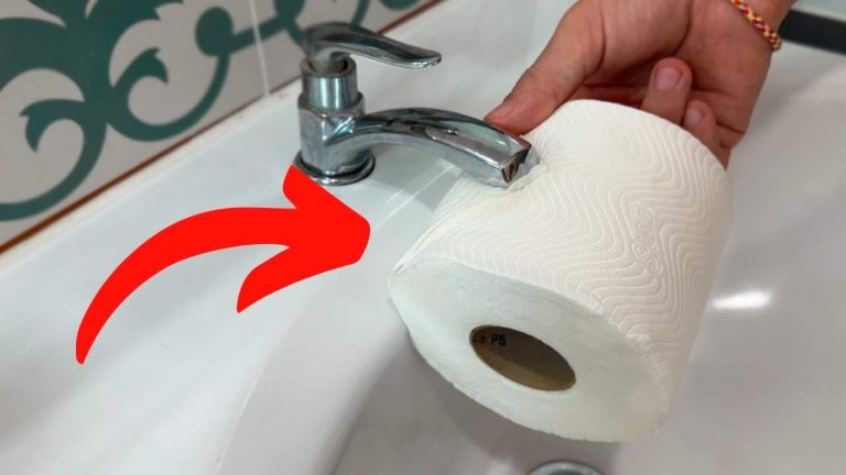 488360829 122174234924315747 4390191830896858900 N