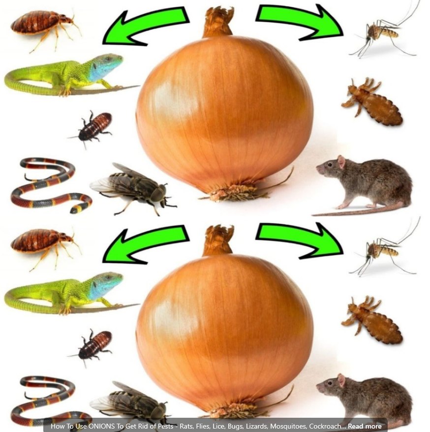 488397839 122123490908704504 8819105533764929049 N