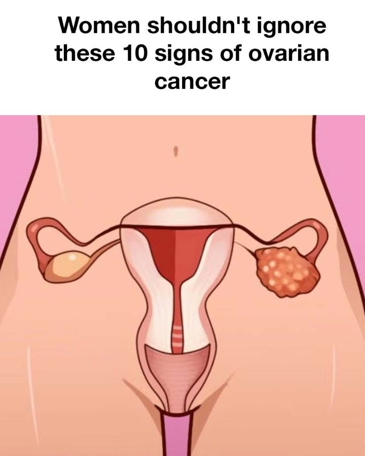 488647914 1191030646143228 1303210446932580261 N