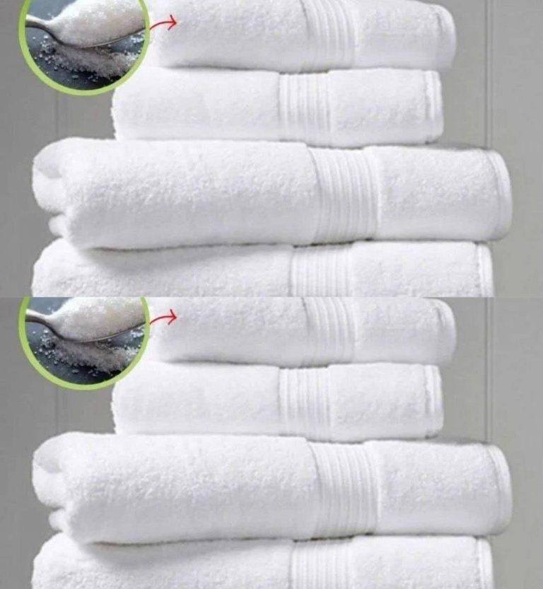 488887777 122154043382571086 7829440453402972642 N