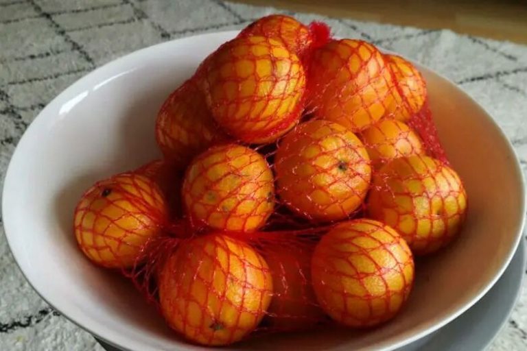 488910603 1175397477658294 2397473573034780677 N