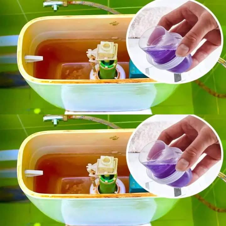489048450 567385116389312 6781030567373040735 N