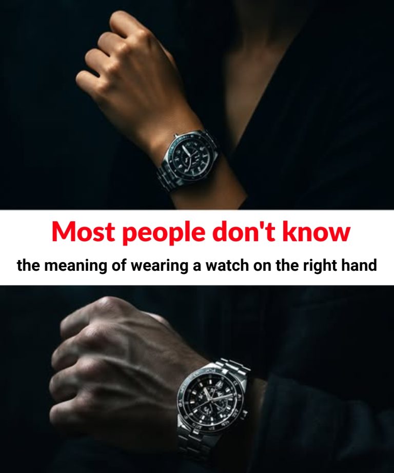 489150291 1227607702091260 4417328122682128031 N