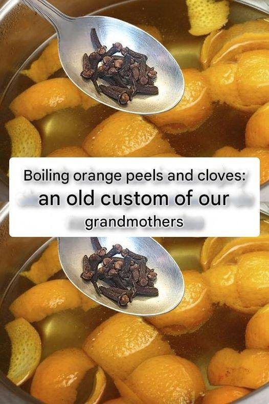 489220866 998102939128252 1933634187877887855 N