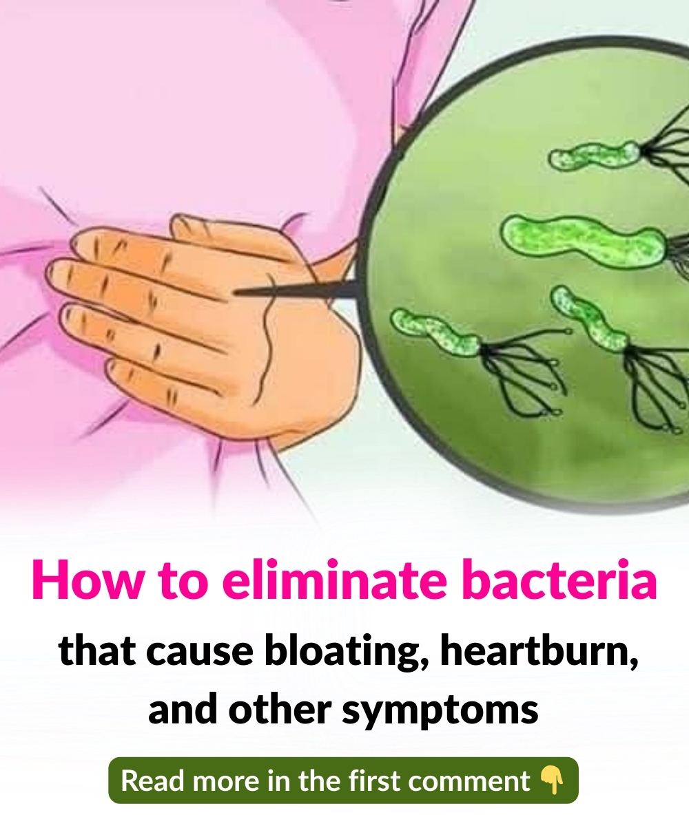 489221124 1222267579291939 4599547841983340657 N