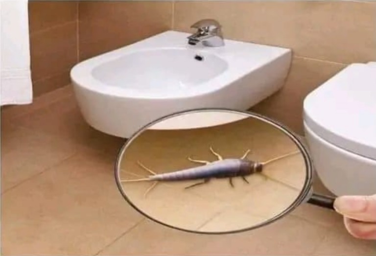 489284265 692518157066823 6939677596313150630 N