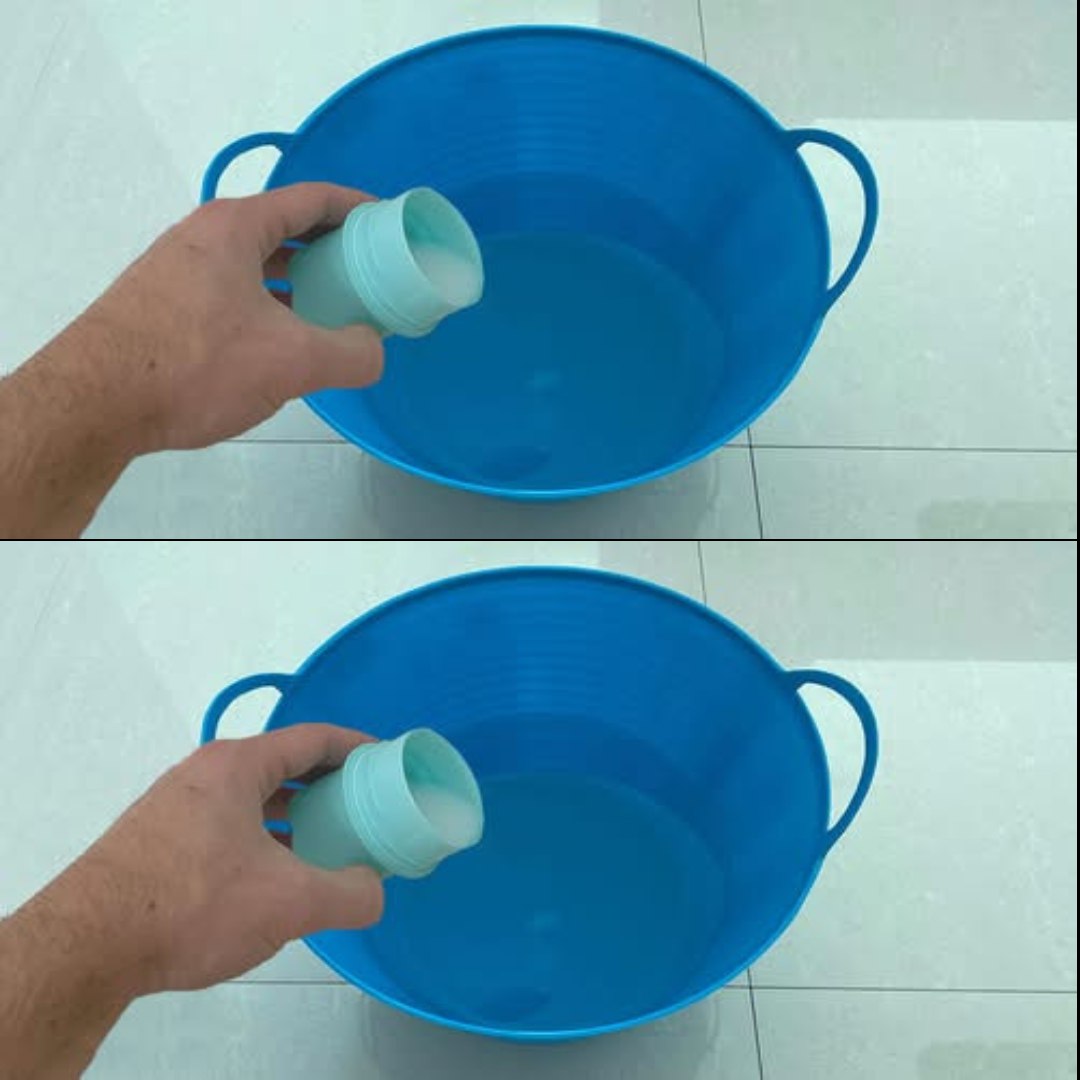 489436708 122155125140571086 999753023219445368 N