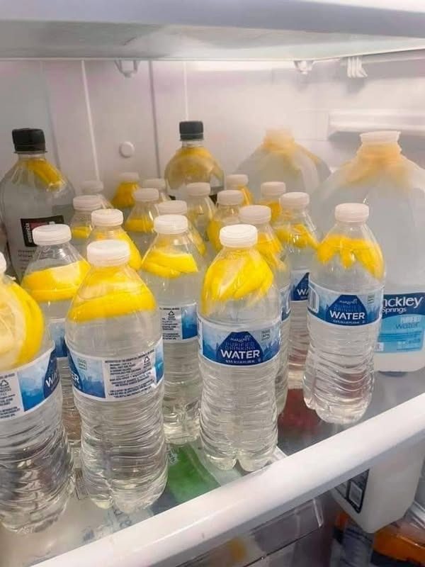 489690573 679731294505846 8997074467064559645 N