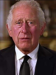 489738445 602511719494304 5858174055983496005 N