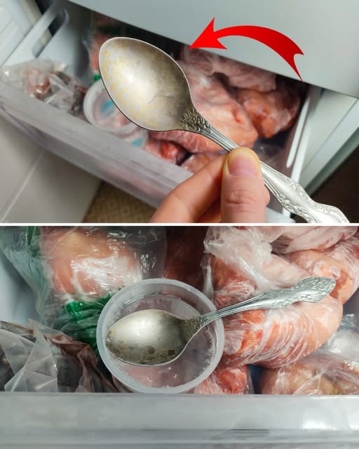 489740800 1075711694593405 3918729810849008672 N