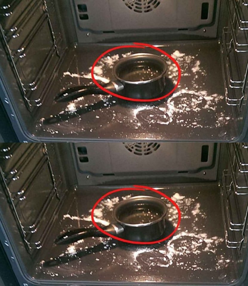 490041405 122216905718177707 882521496925627394 N