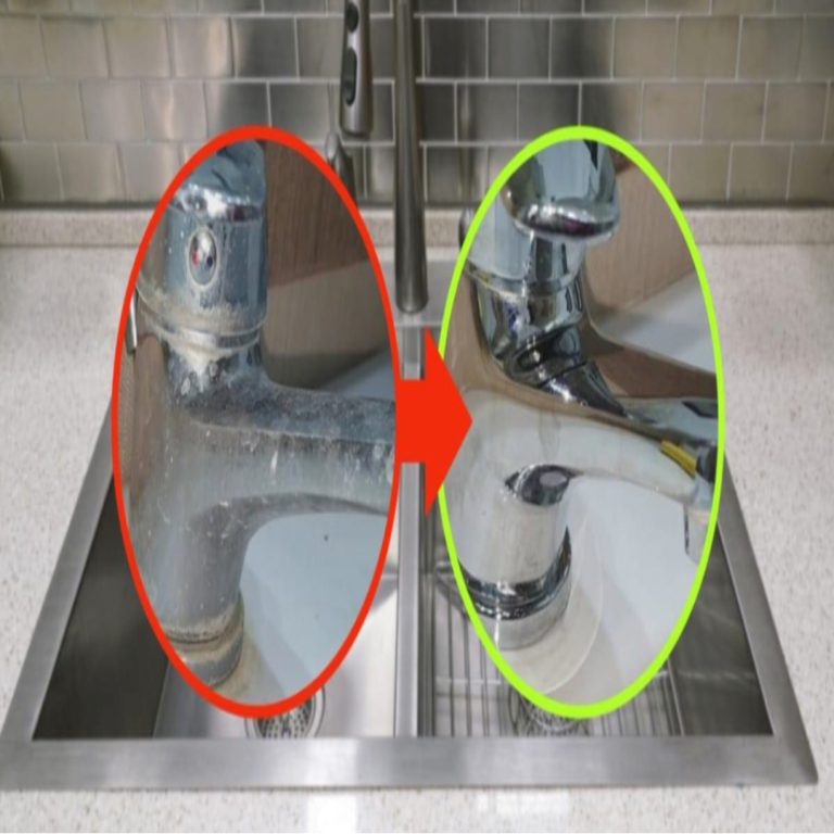 490043618 122155360148571086 4163981122957642116 N