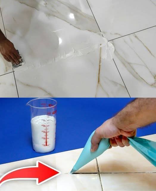 490065974 1176786040852771 4329846761589295021 N