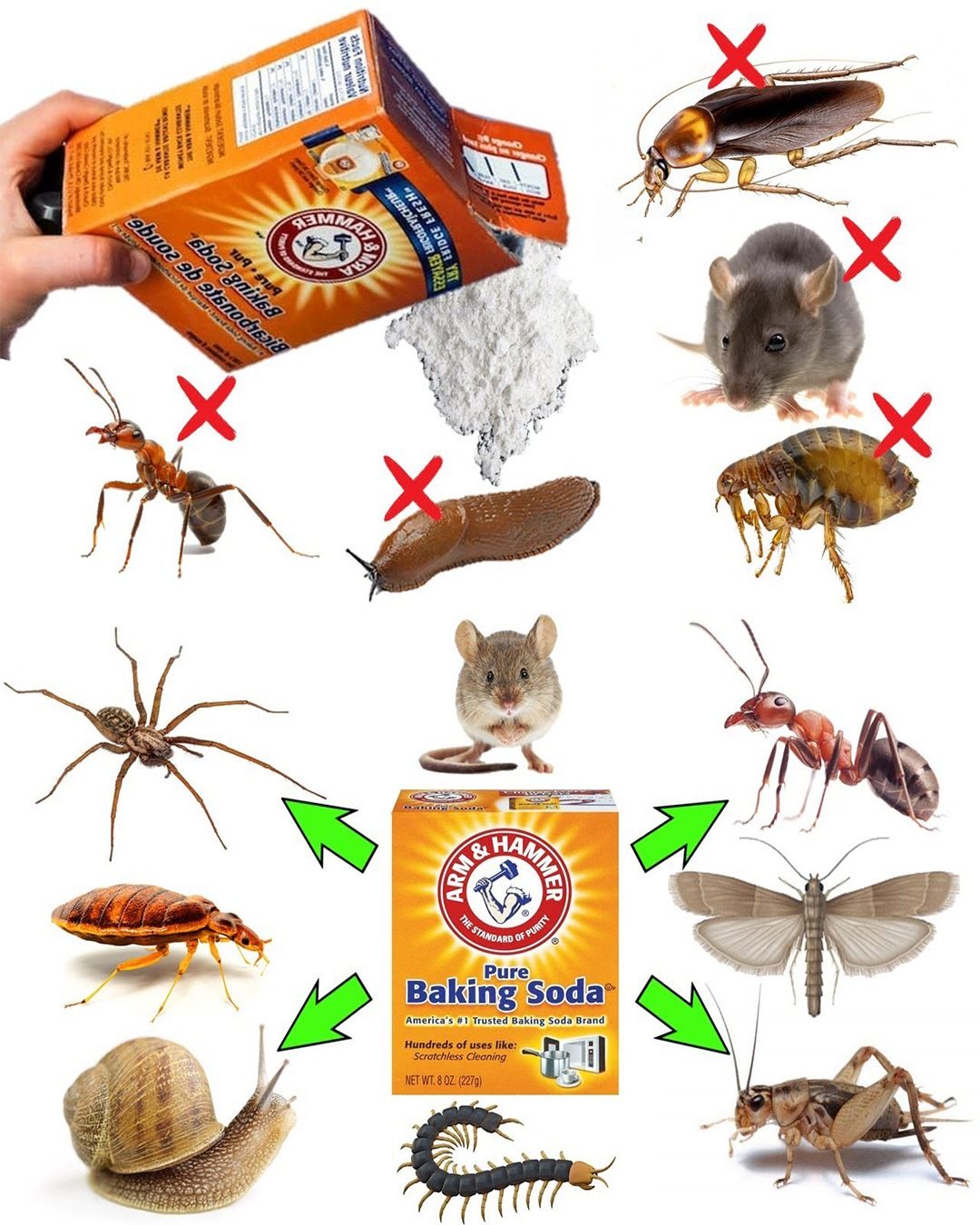 490140334 1178142160440888 2896523213458913311 N