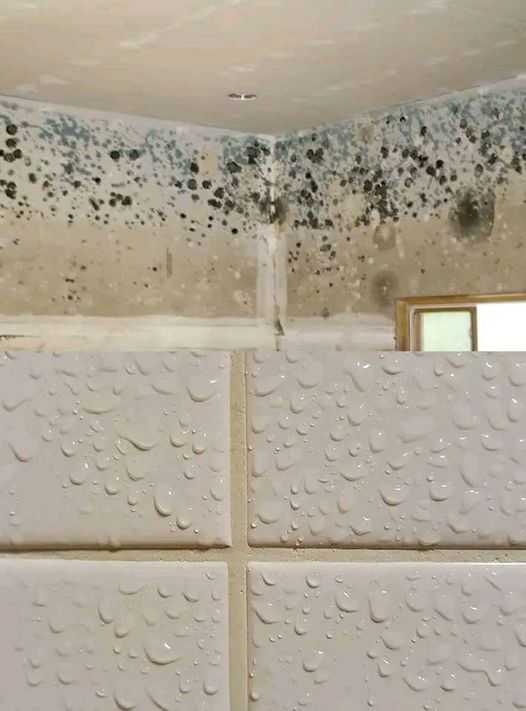 490266744 122127284744704963 8590620346140473573 N