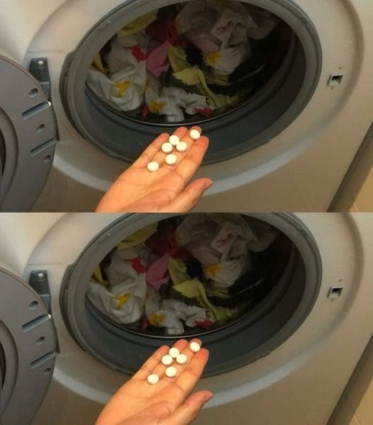 490271998 2143318806114960 8199941262359186989 N