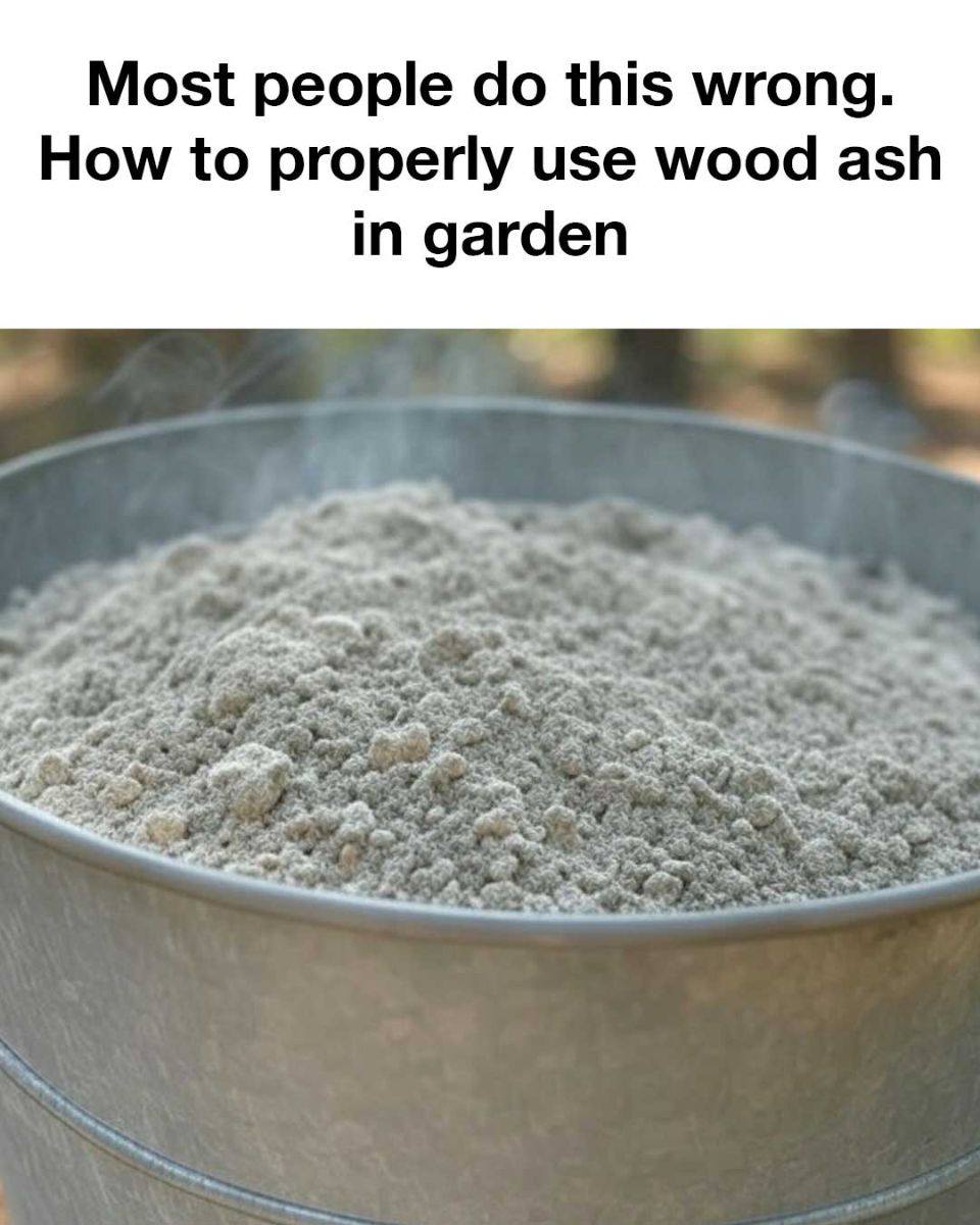 490344321 3436535069820176 7649550296129155862 N