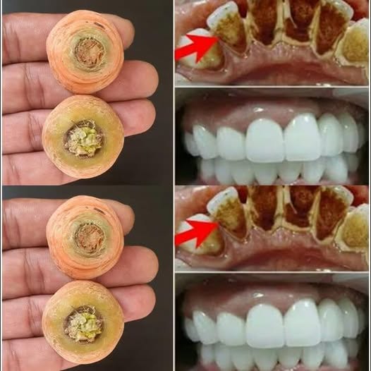 490455184 658120893862290 6515271644378813004 N