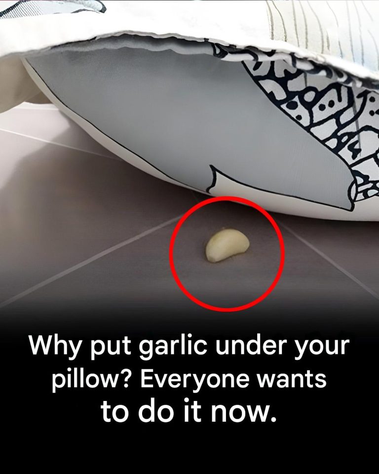 490524512 1076807744483800 329919962896497308 N(1)