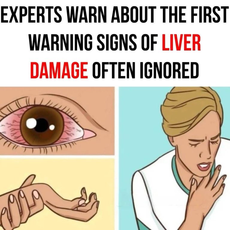 490593273 1123969683106972 8412761937163526827 N