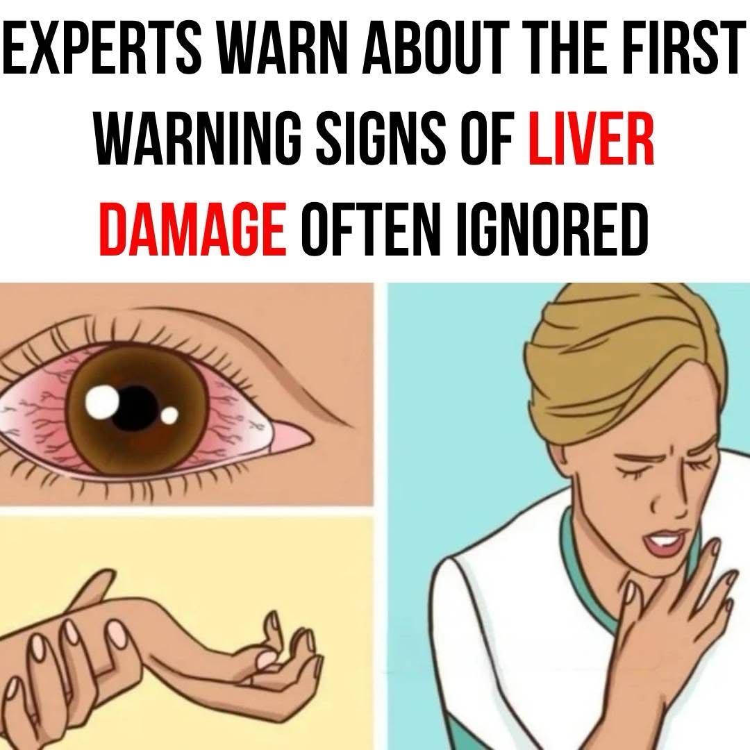 490593273 1123969683106972 8412761937163526827 N