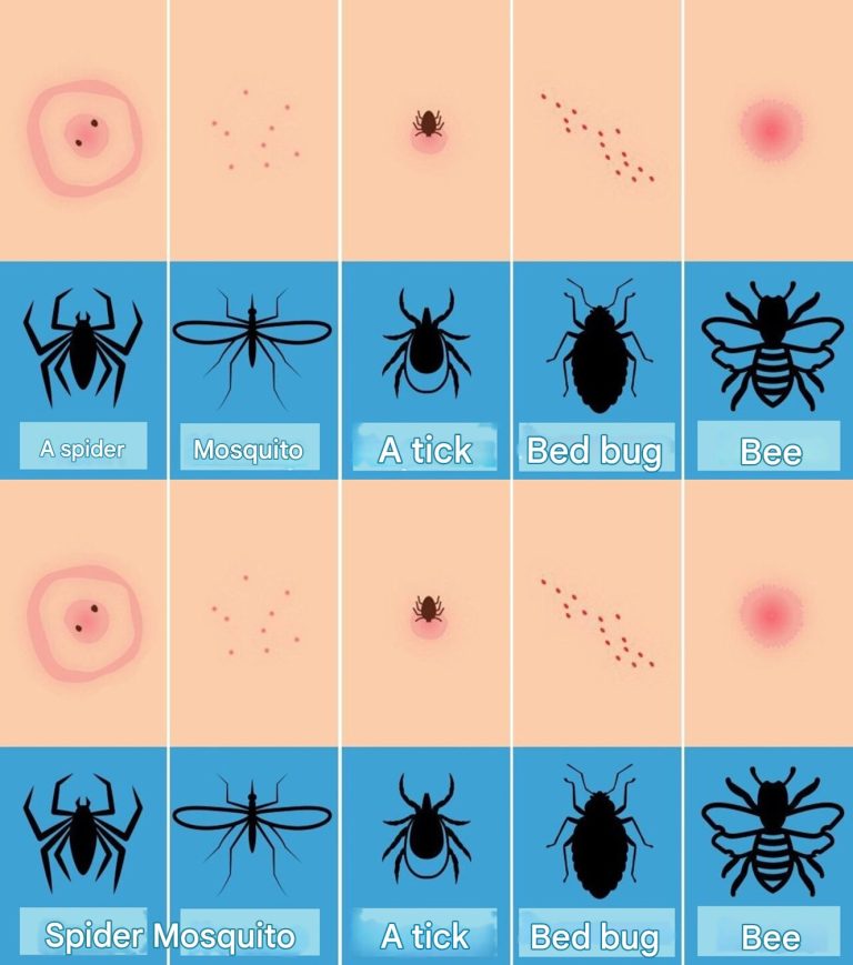 490691425 122186915588093586 3170642321931039326 N