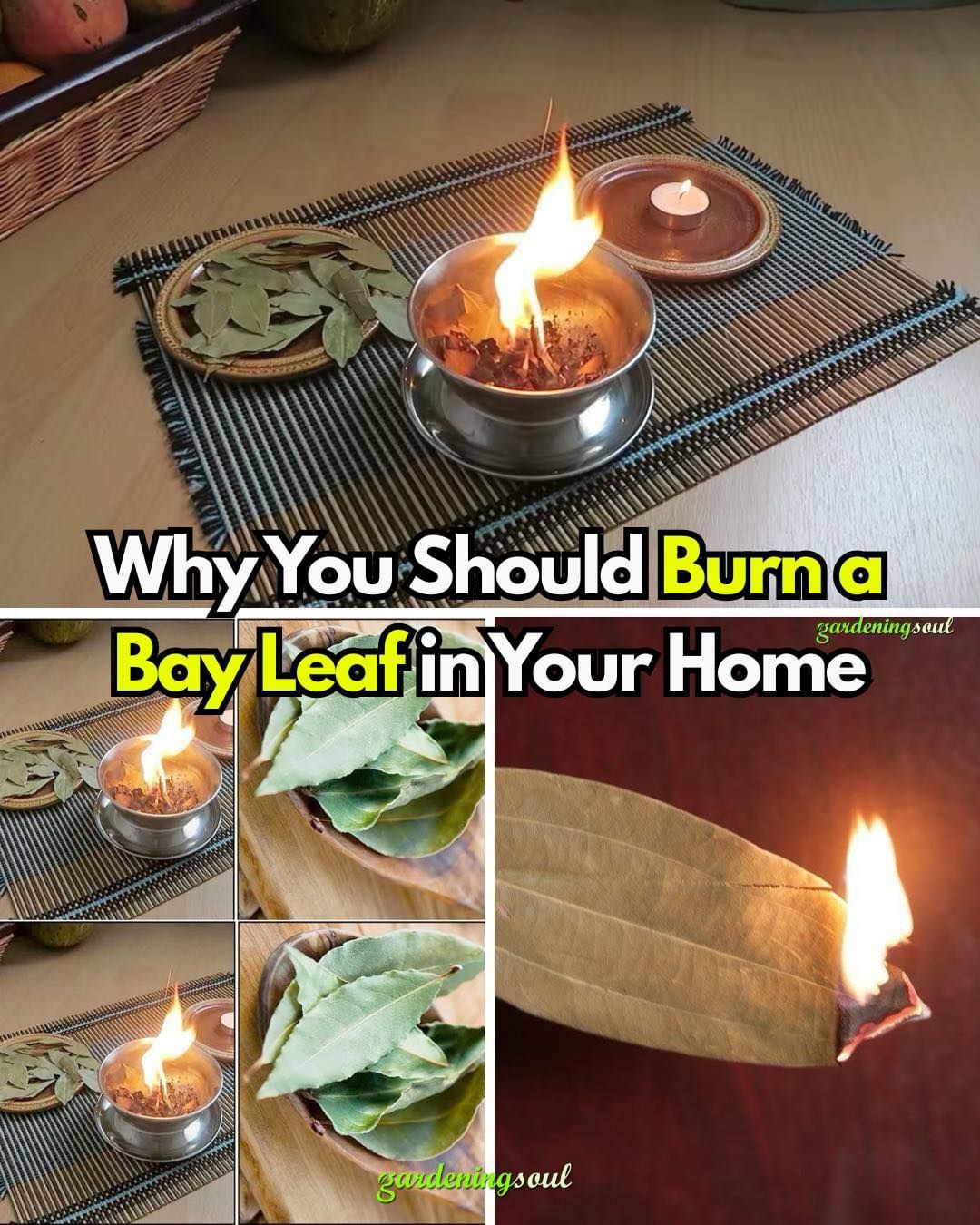 490696473 982312177342130 2223738233889399167 N