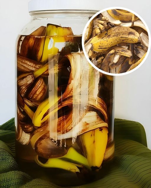 490717490 122121938768790638 5411877977224916692 N