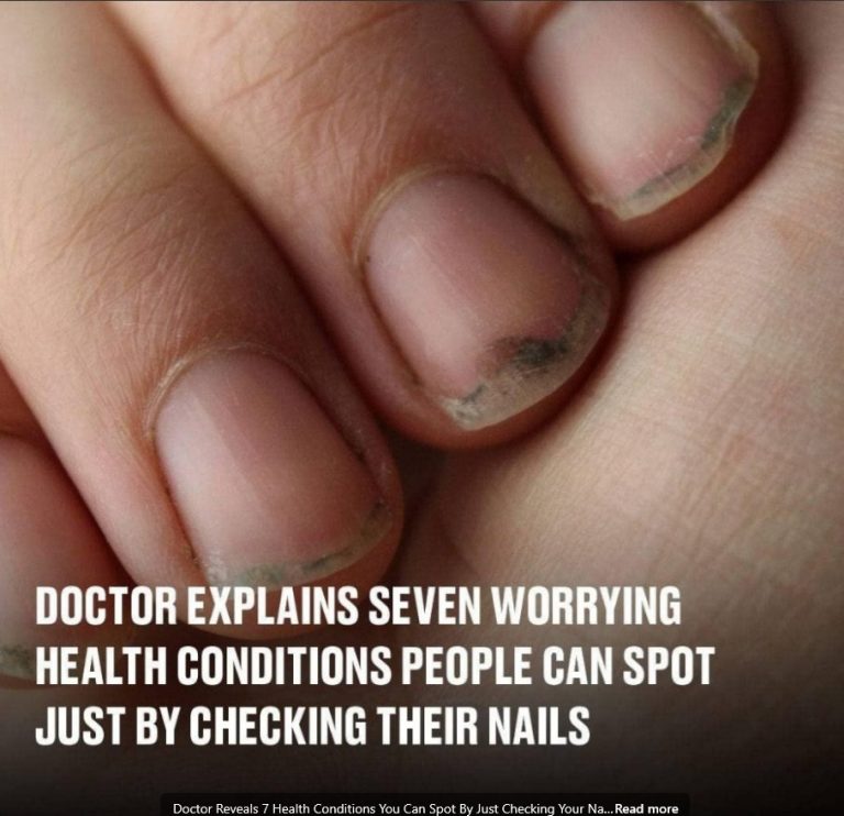 490799526 122125494848707054 3305597698042484055 N