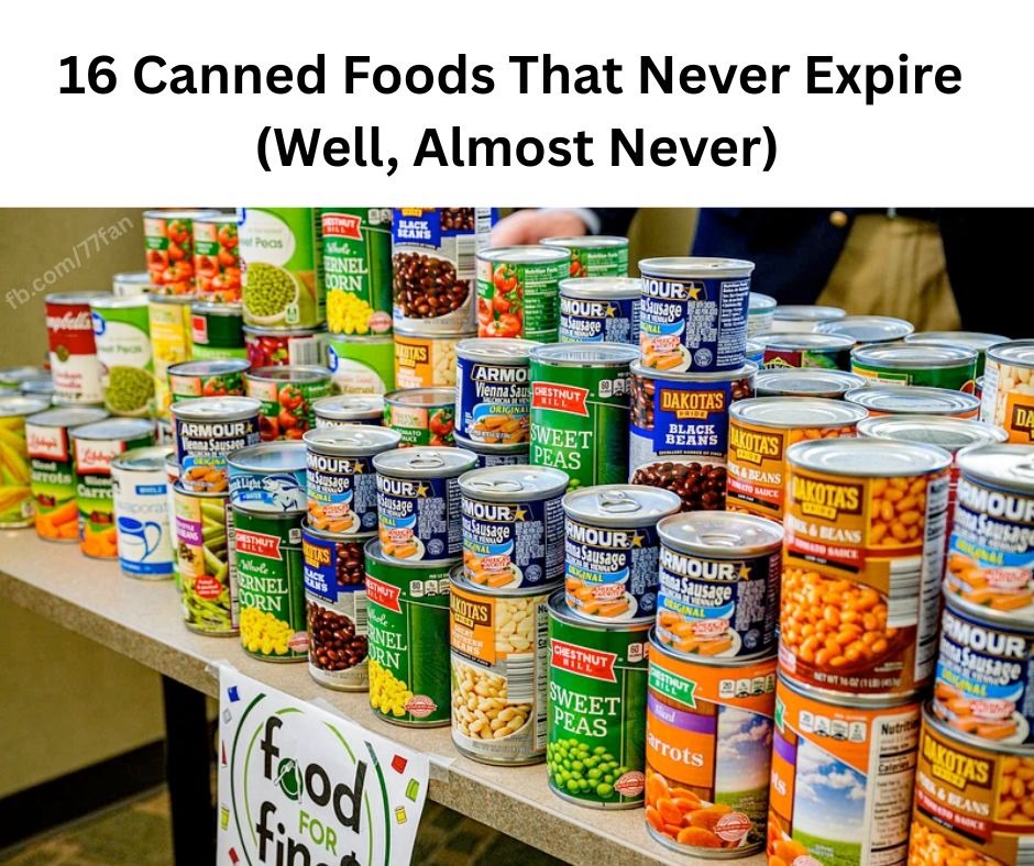 490958902 122125088696790141 6446880068396837604 N