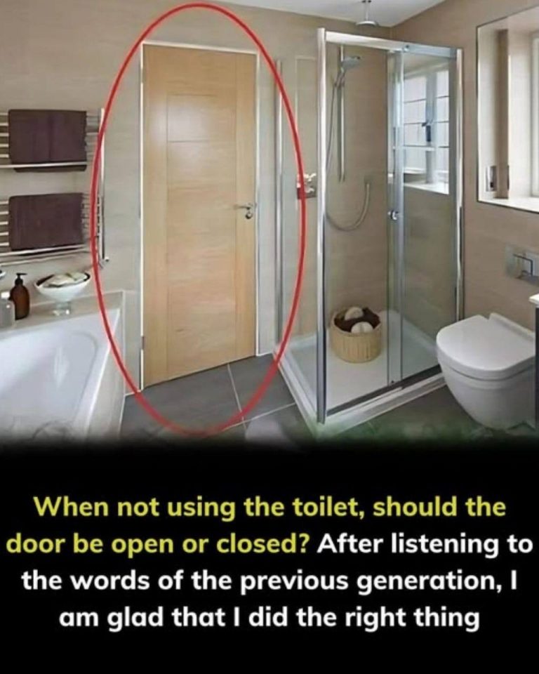 491130091 122107401806832283 3633686499038301498 N