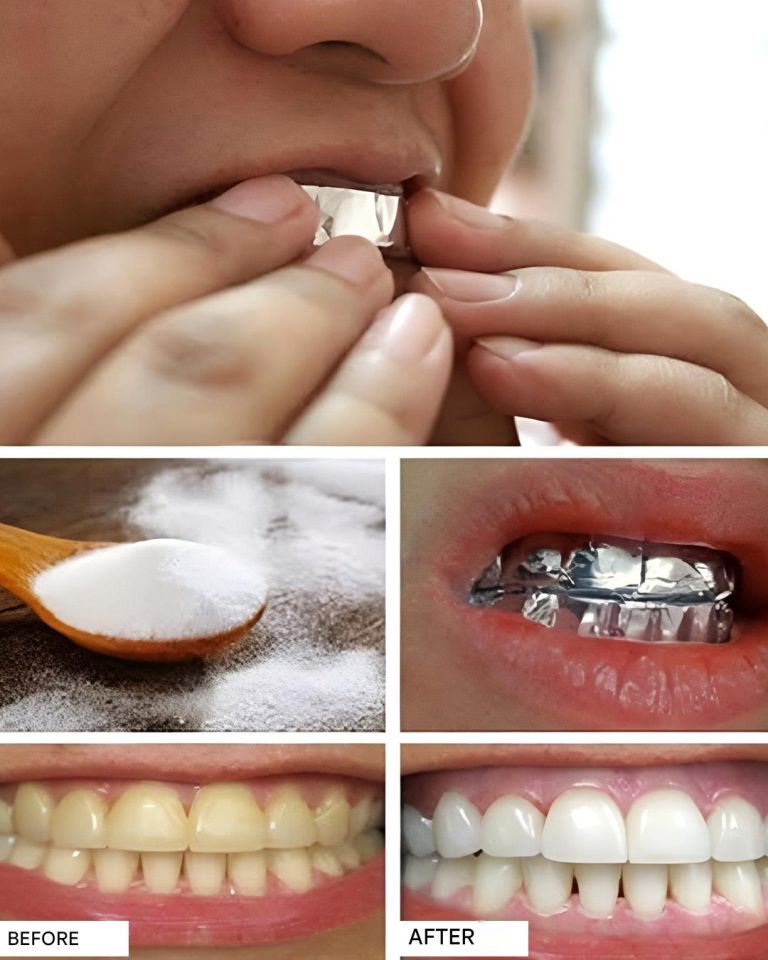 491285921 1081869407310967 5886712926447015466 N