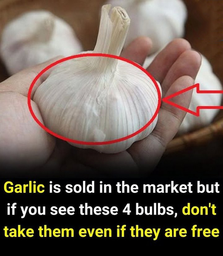 491388022 122126947994630227 5988556319879019148 N