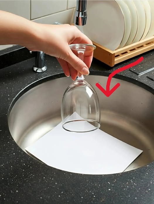 491409341 1209884380930211 7447893679237728943 N 4