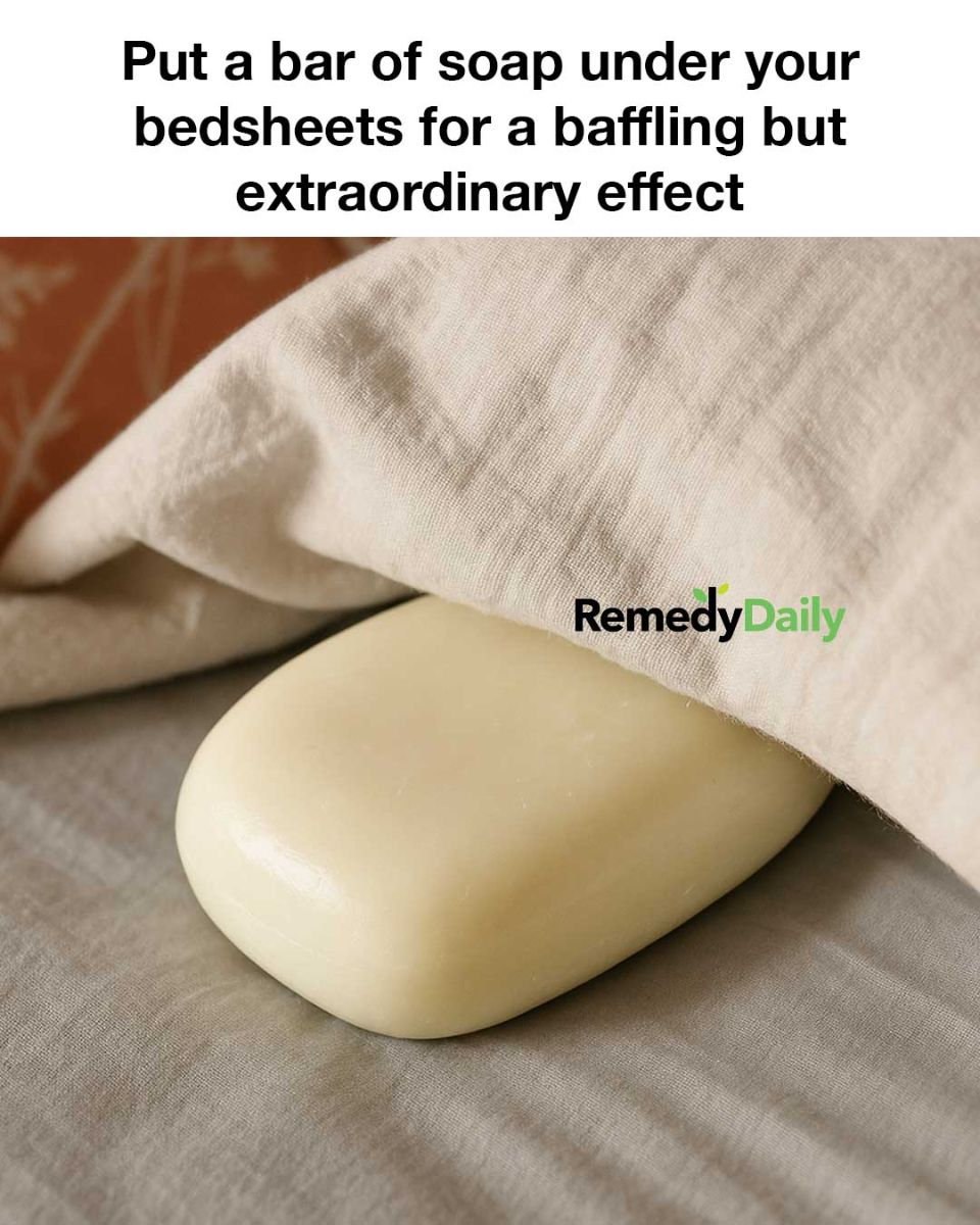 491444019 1199963665249926 3318559736594809178 N