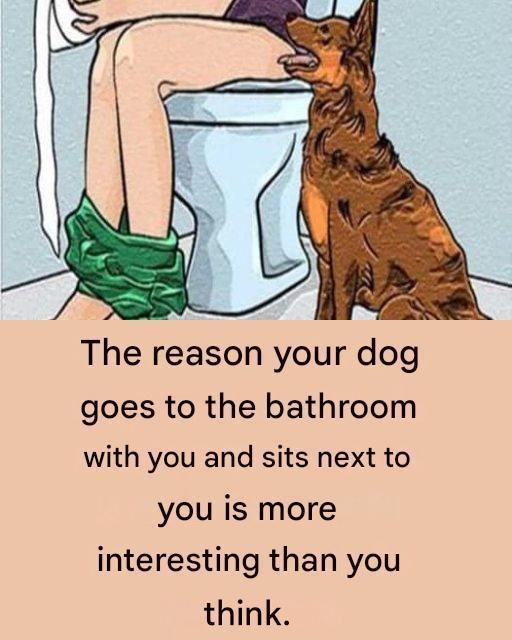 491452502 647484211581417 8179830479244395789 N