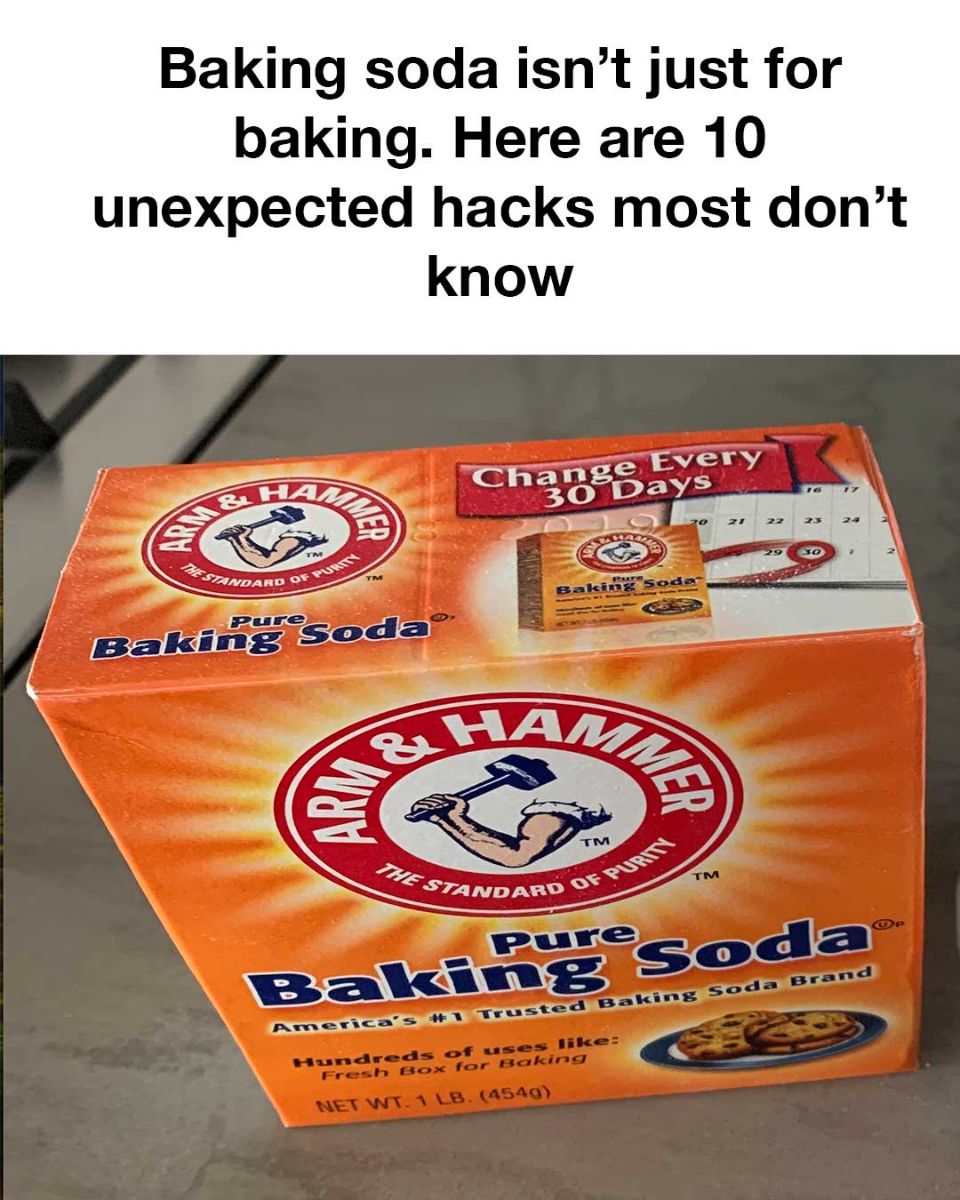 491455592 970486105228629 5702482206882770101 N