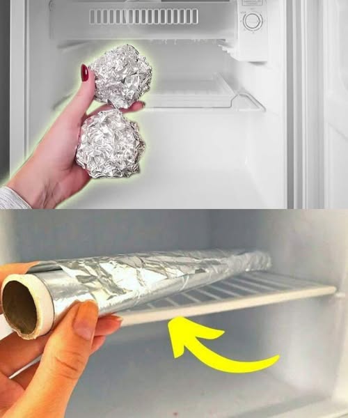 491541902 122263627730213882 5848841461281773780 N