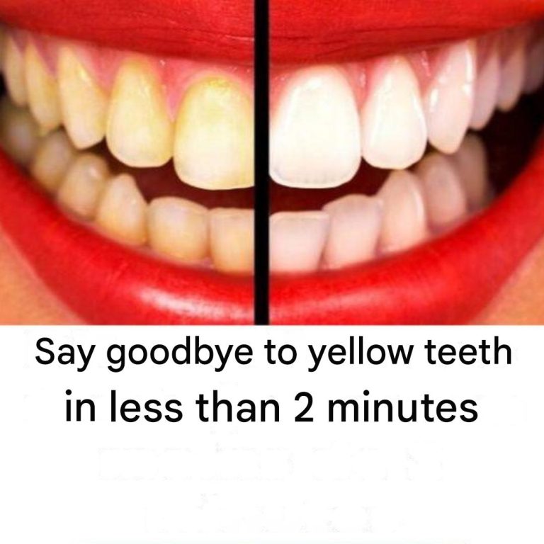 491831975 122230251776196112 6891052515636971168 N