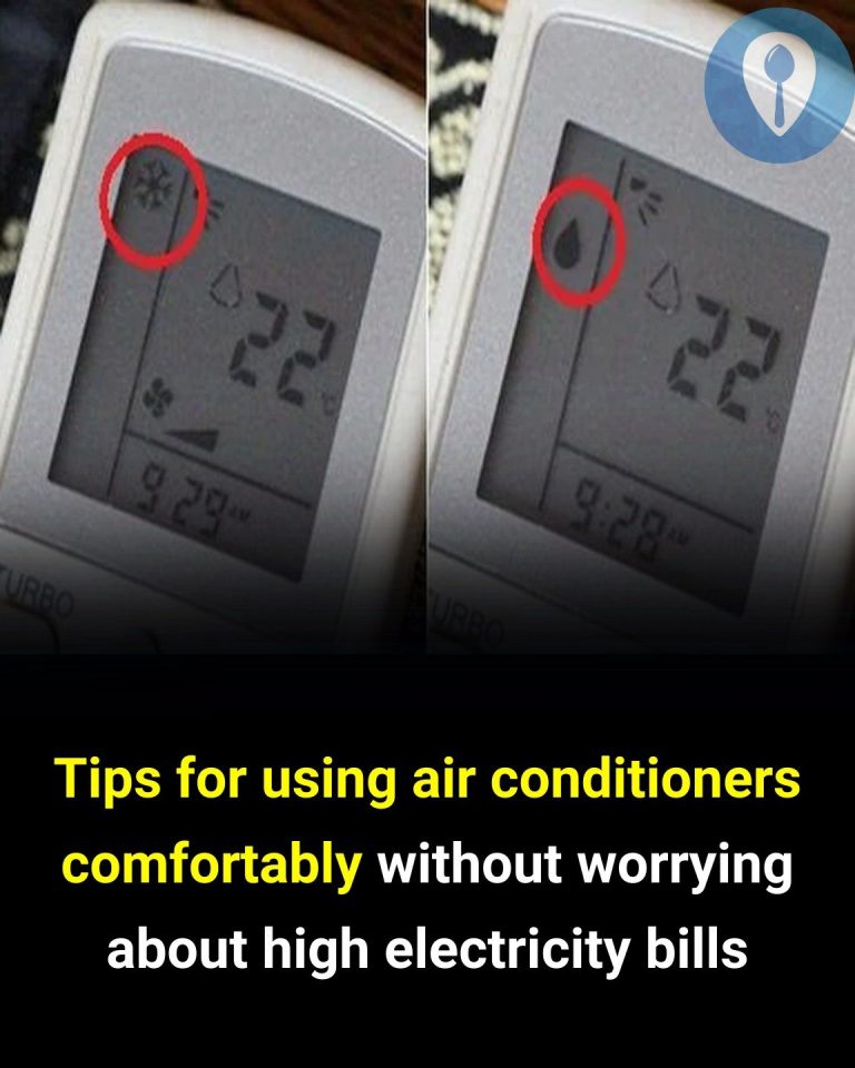 491925381 1000349115541750 6853649730788333268 N