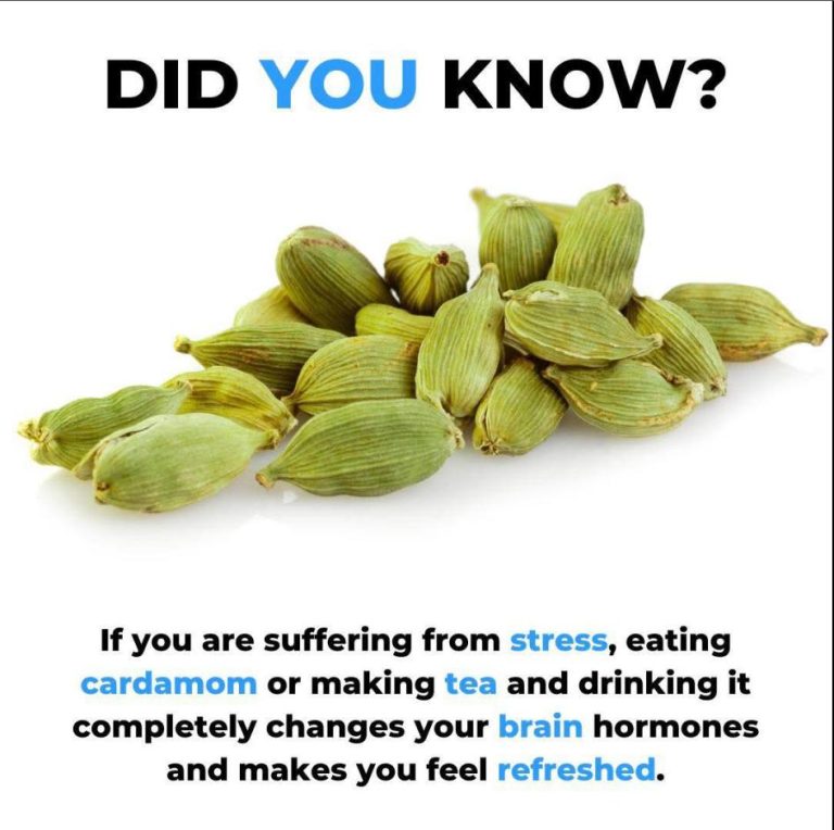 491932241 122125771076704504 826228389177306453 N