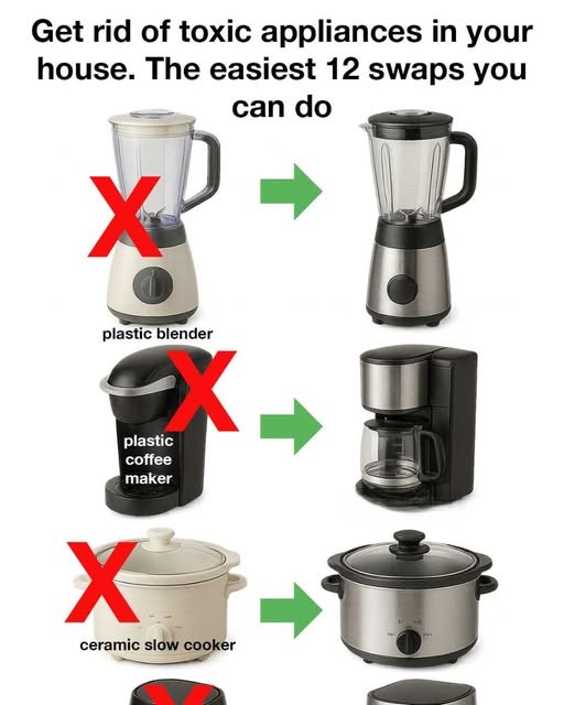 491936743 1096571902504330 4774013540700172031 N 24