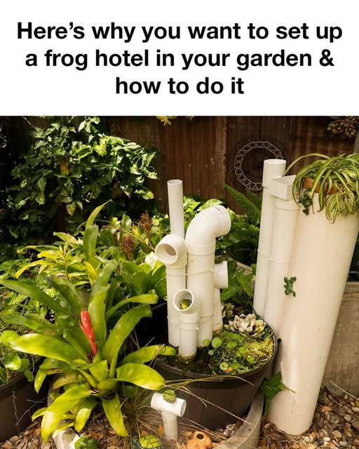 491936743 1096571902504330 4774013540700172031 N 37