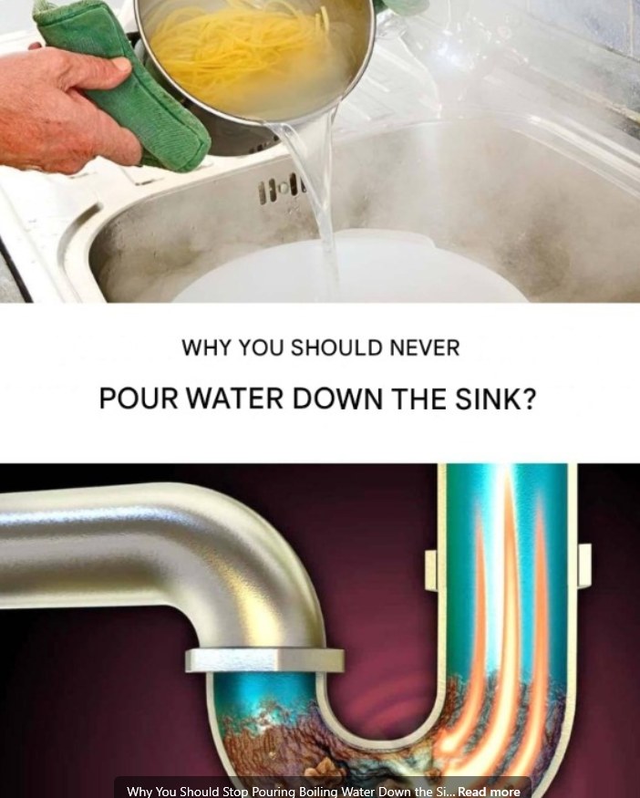 491999978 122124921776697098 55999883106297671 N