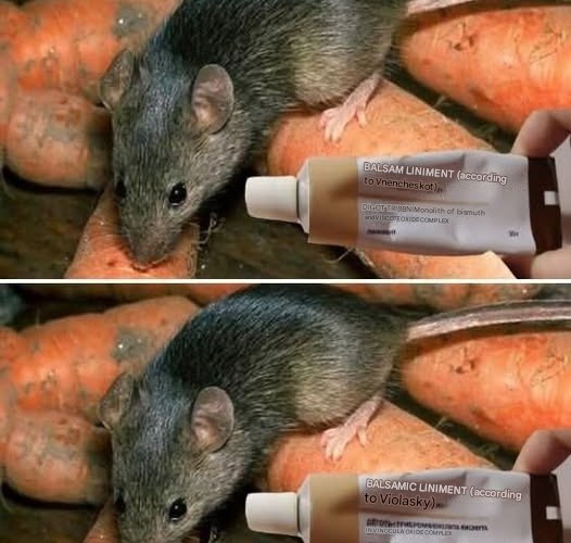 492005135 122231098172196112 1281462883181400633 N