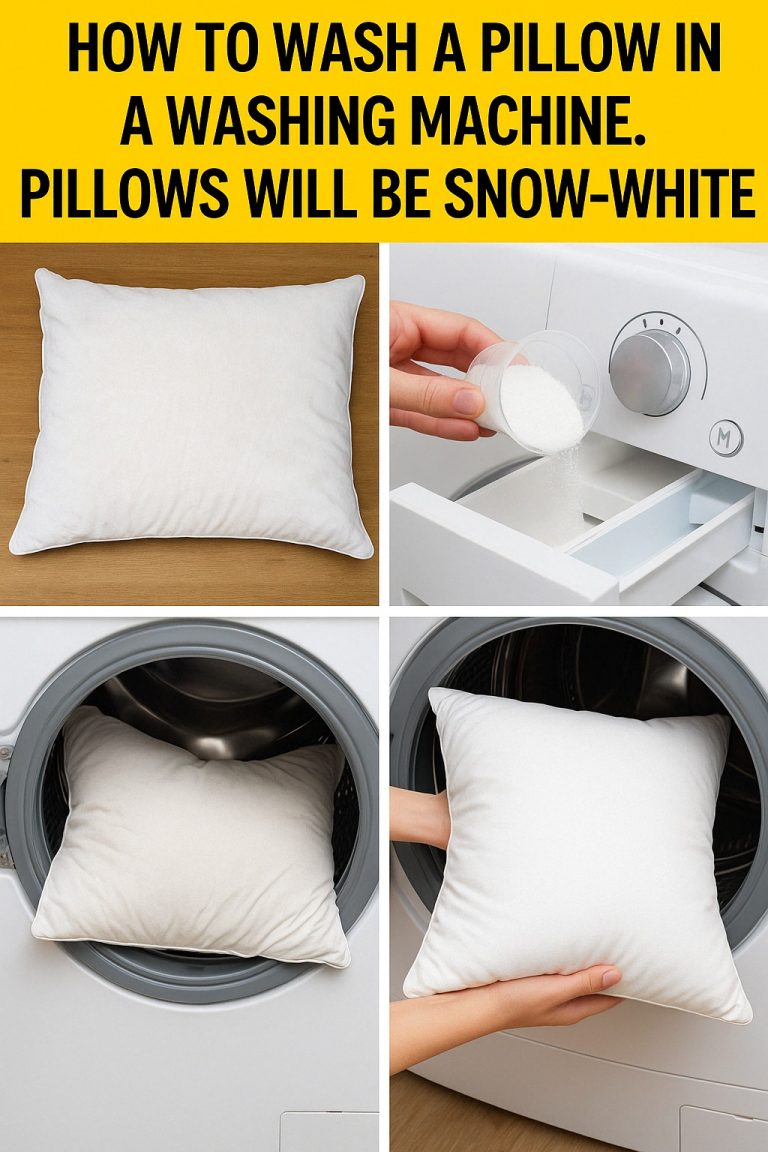 492023766 122207624606148206 6884877184309688701 N