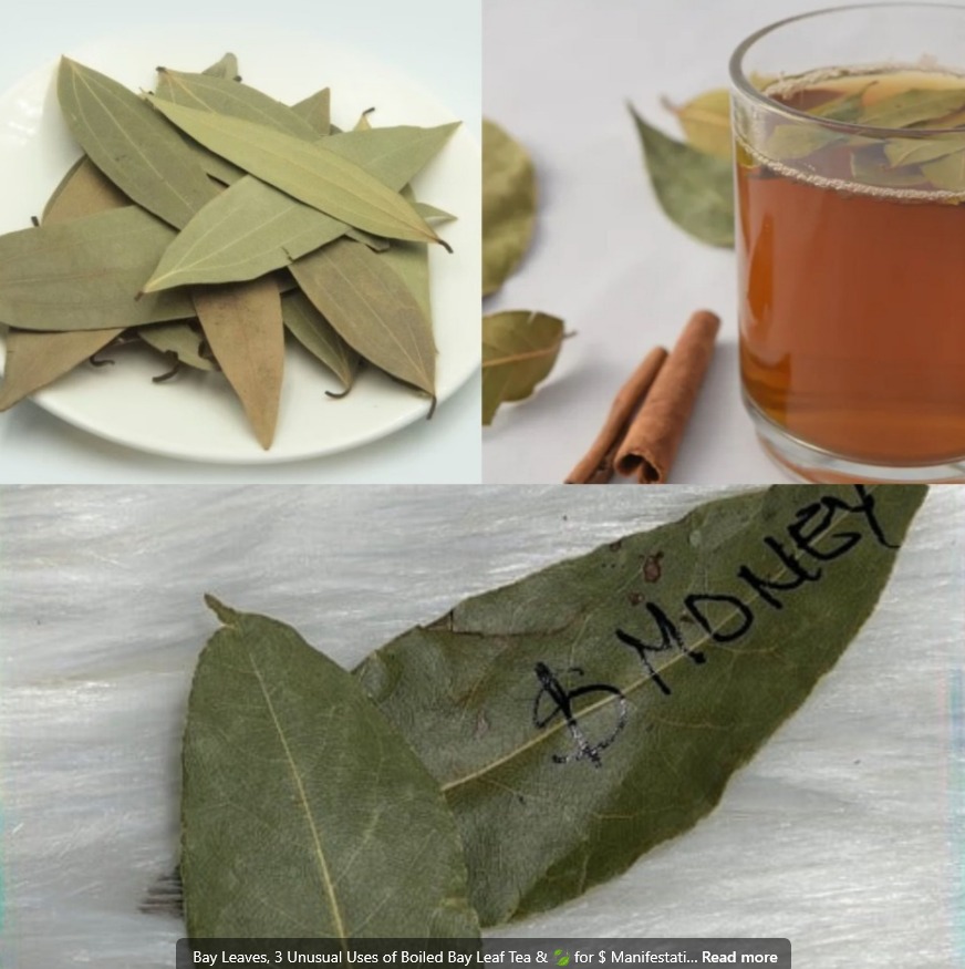 492024077 122129839004699587 5570139766682273549 N