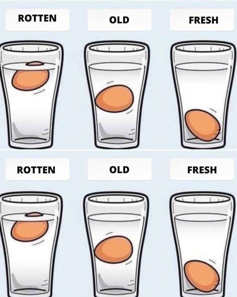 492036914 3976374066025409 1837139686871019797 N