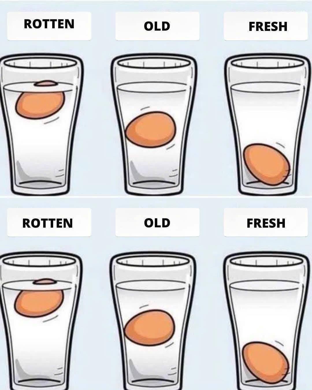 492036914 3976374066025409 1837139686871019797 N